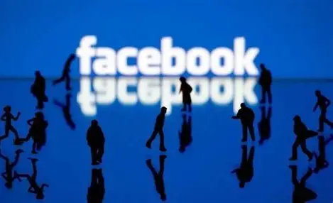 锚定全球市场：青岛春潮涌动下的企业出海“加速度”